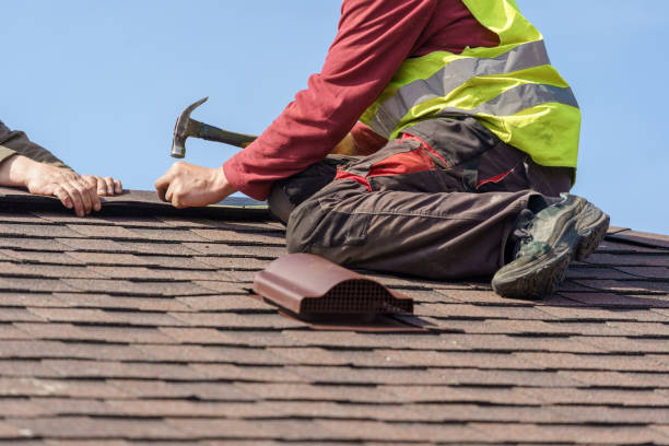Best Shingle Roofing Installation  in Hamilton, GA