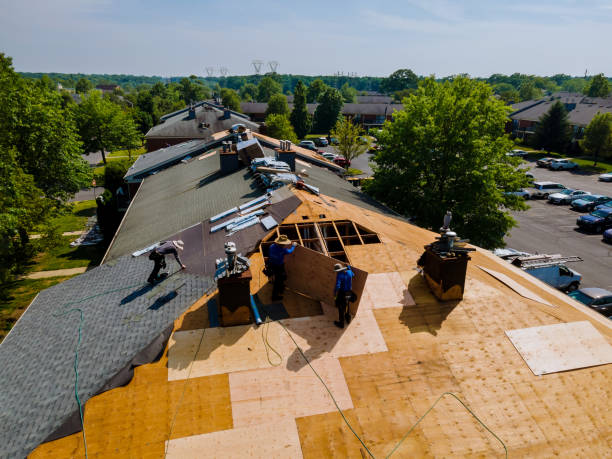 Best Flat Roof Repair Services  in Hamilton, GA