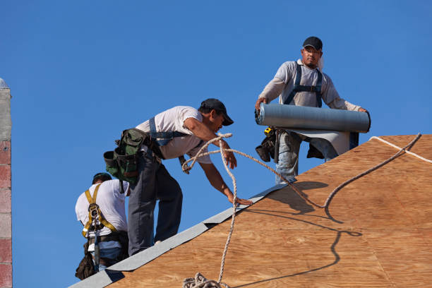 Best Residential Roofing Contractor  in Hamilton, GA