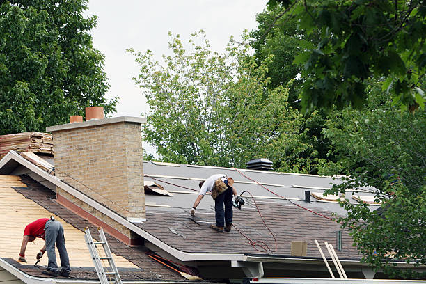 Best Roof Maintenance Services  in Hamilton, GA