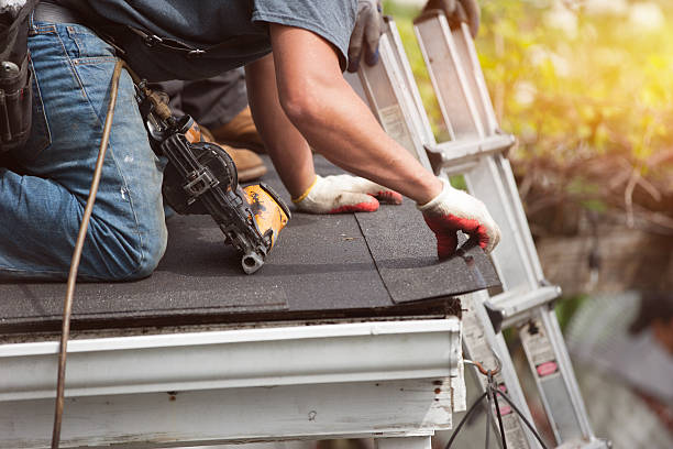 Best Gutter Installation and Roofing  in Hamilton, GA
