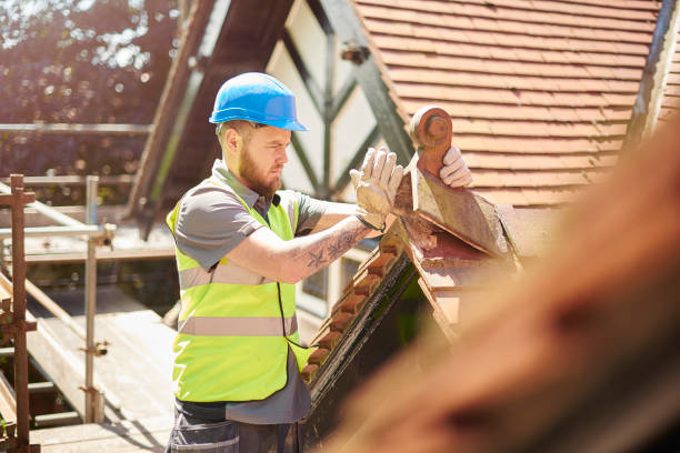 Best Sealant for Roof  in Hamilton, GA